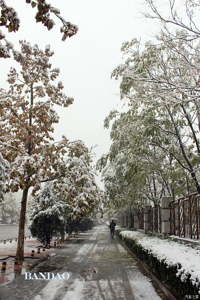 初雪存照:你在南方的艳阳里温暖如春,我在北方的寒冬里大雪纷飞