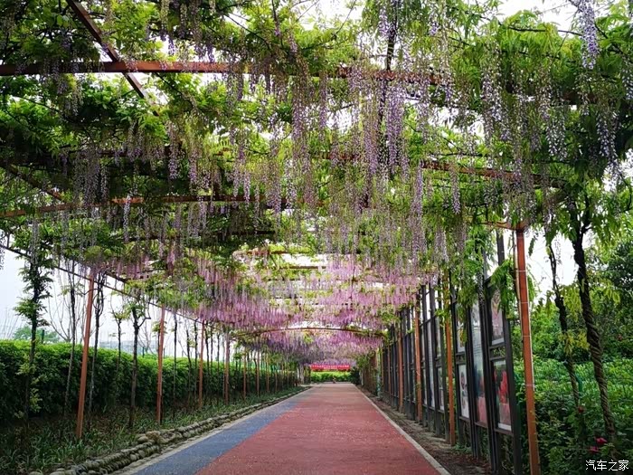 【图】【我的秀场我做主】成都新都芳华微马公园_黑龙江论坛_汽车之家