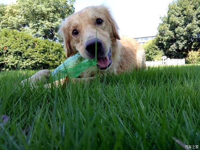 老湿鸡驾到之fx-s500-20000公里