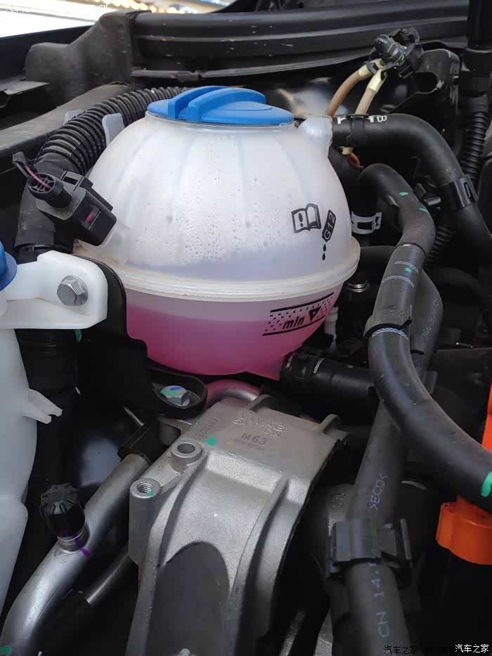 请问左边红色那个像碗的那个平时要不要加水?