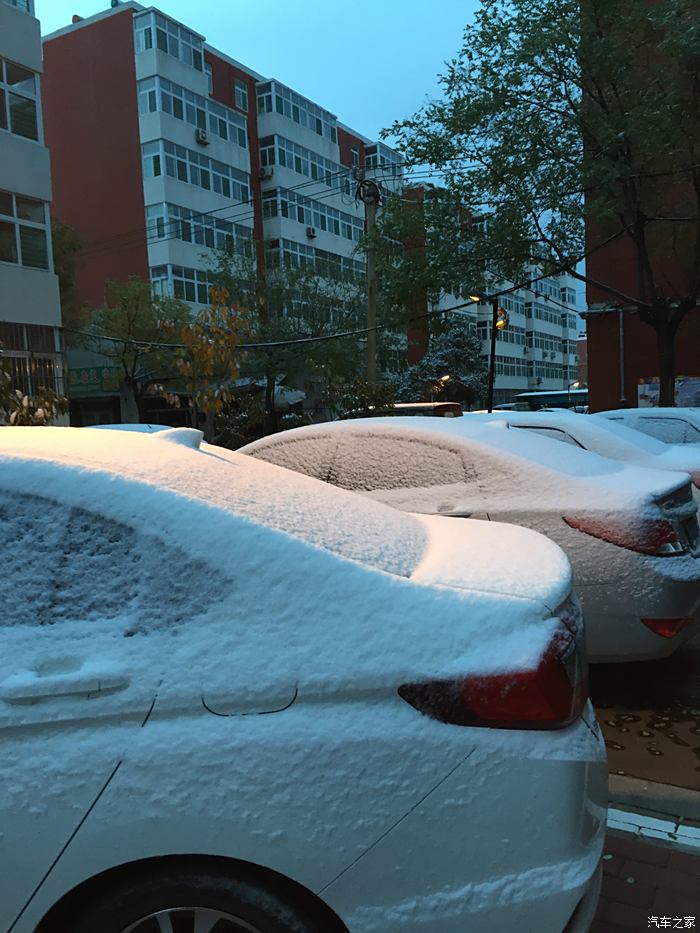 潍坊下雪了.2016年入冬的第一场雪.