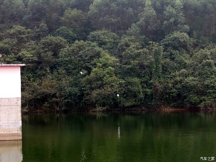 罗村水库钓鱼烧烤环境不错