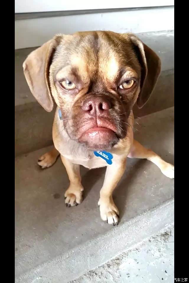 一万个草泥马,啥也不说了