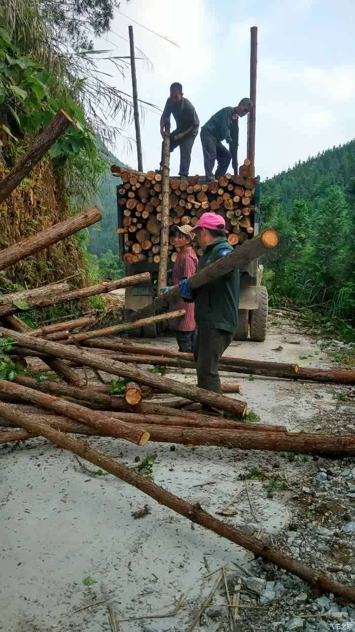 第四天进山收木材