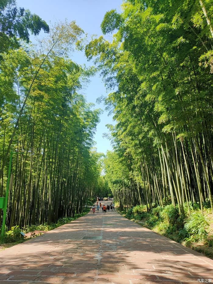 独驾亚洲龙,蜀南竹海行