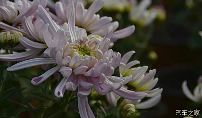 不能保证每张图片都有合适的画面,所以图片裁剪就成了后期处理的重要