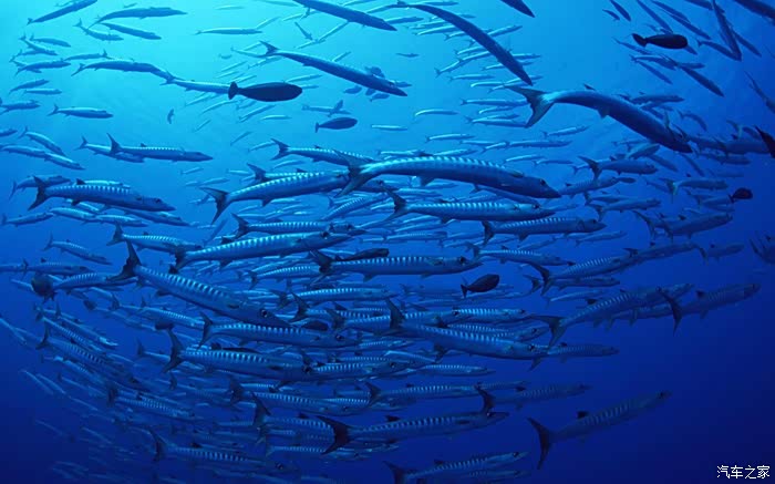 【大连cs75车友俱乐部068】 回到海的怀抱