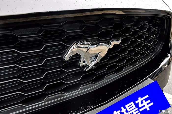 陪着美女喜提她的小野马