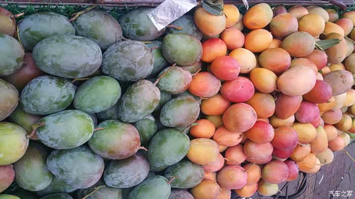 一万公里西昌到了,老婆看到这满街卖水果的高兴的不得了,这里盛产芒果