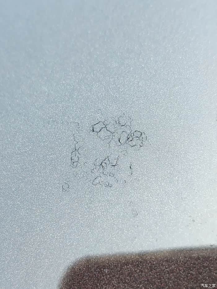 车漆被鸟屎损伤了要怎么修复