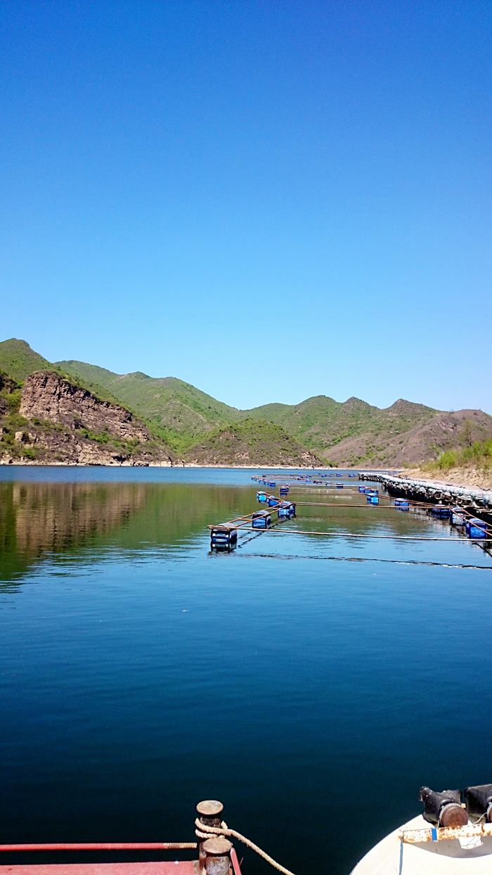 桃林口水库全景图片