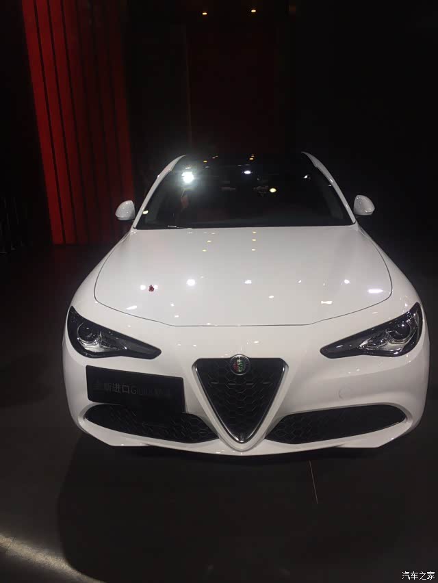 【图】阿尔法罗密欧太好看了_阿尔法罗密欧论坛_汽车之家论坛