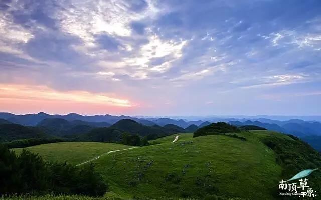 湖北南顶草原图片