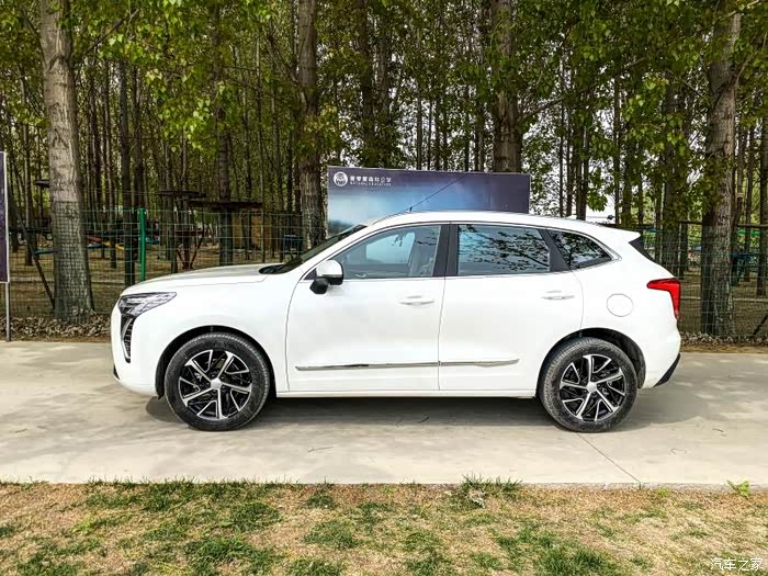 众多车型中选择了你哈弗初恋