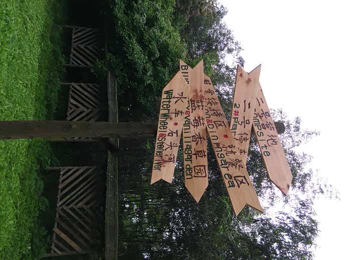 开心农场开心亲子游