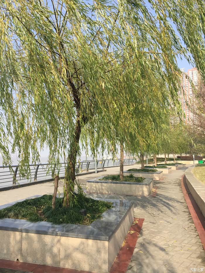 周末闲暇时光享受江风拂面沐浴阳光的舒适心情