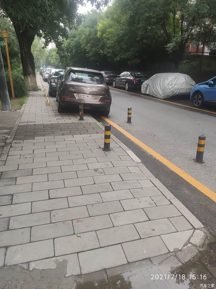 我把好猫开上了马路牙子