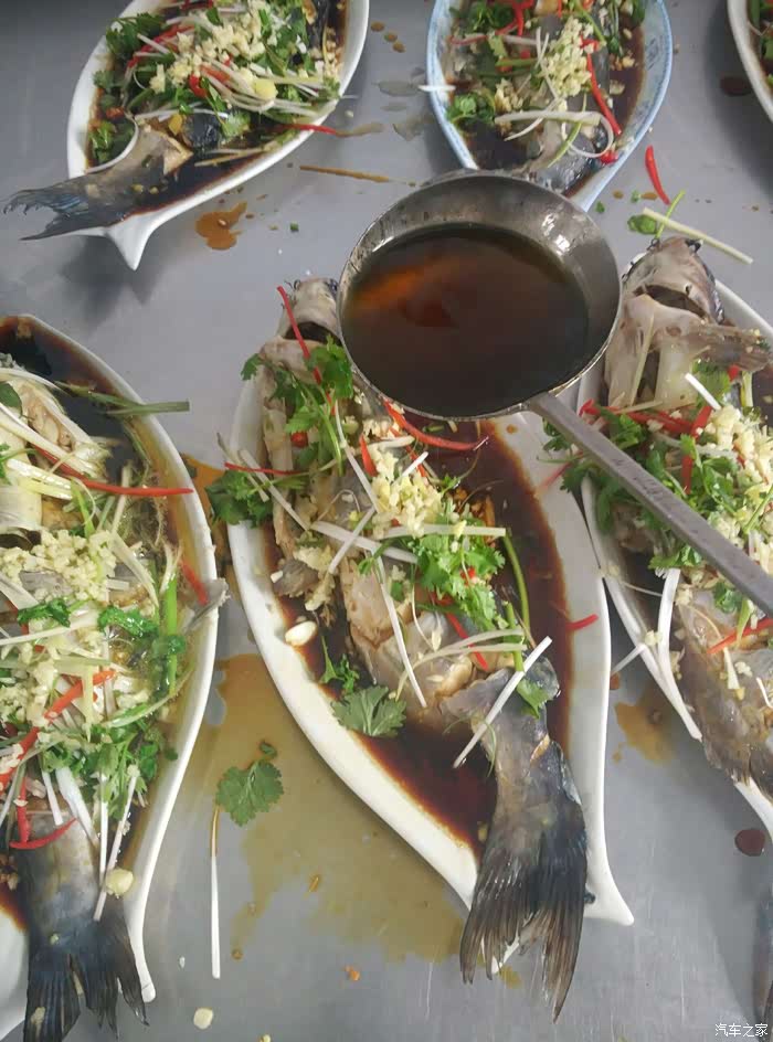 美少妇的私房菜(清蒸潜鱼)