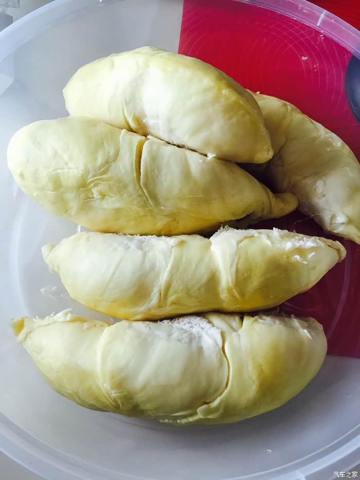 烟圈妹子回归,吃点榴莲庆祝一下!