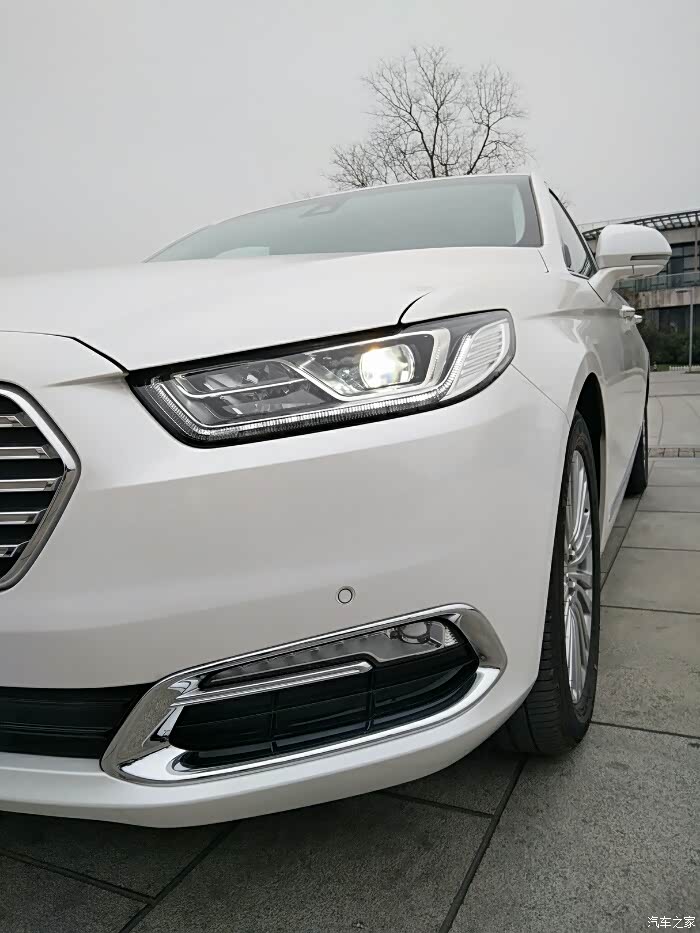 2017豪华白牛提车作业