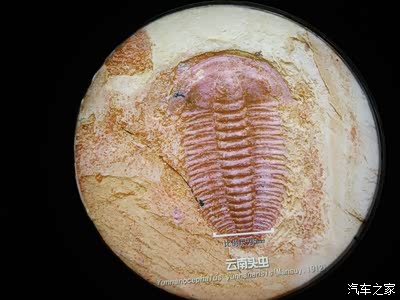 世界上真正的英雄主义,是在认清生活真相后还依旧热爱.