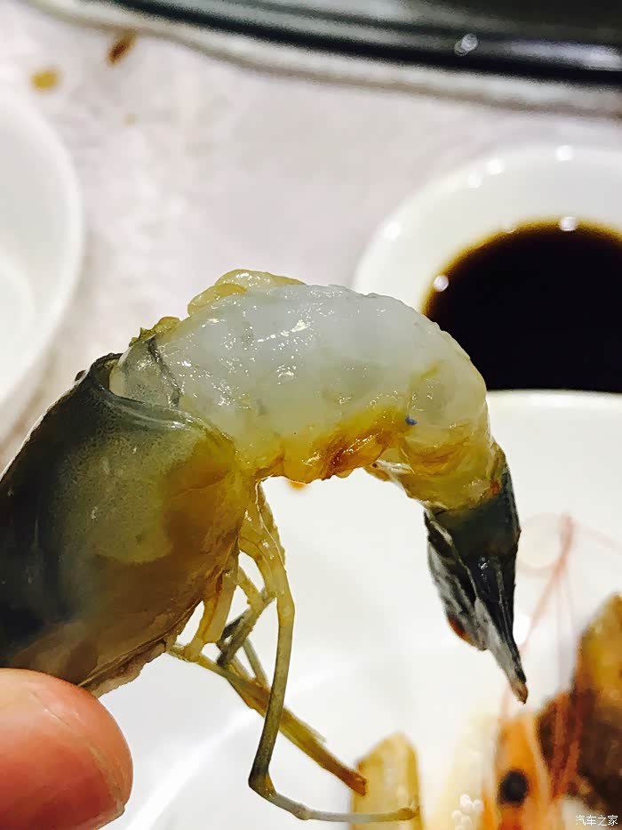 新鲜的竹节虾刺身