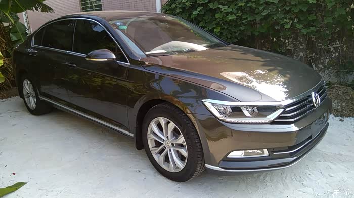 大神有木有摩卡棕迈腾图