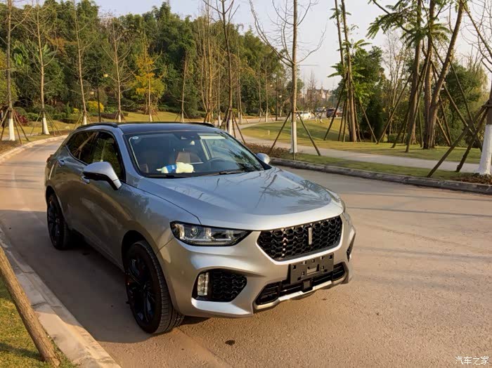 艾尔斯灰车车晒太阳了