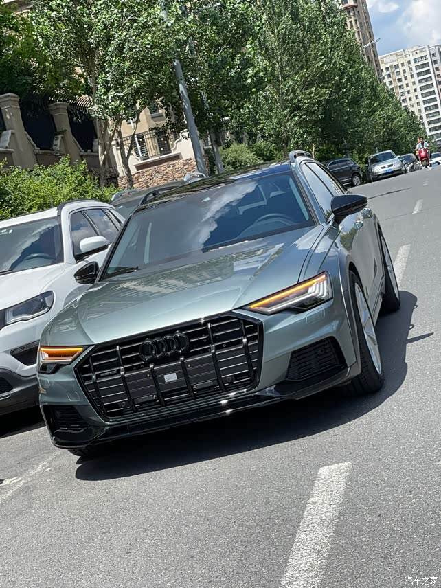 c8allroad鳄鱼绿20周年找组织