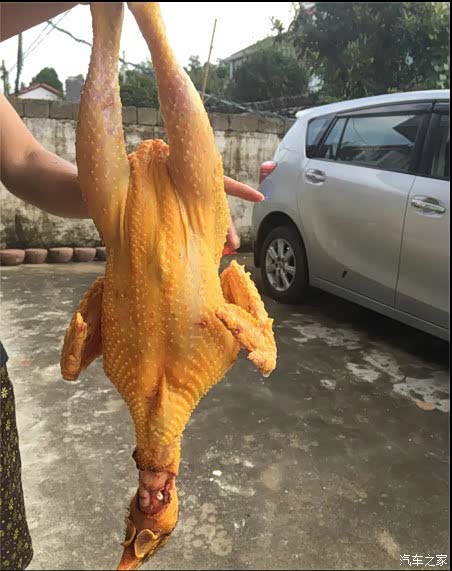 杀鸡拔毛,好鸡啊!很黄很暴力!