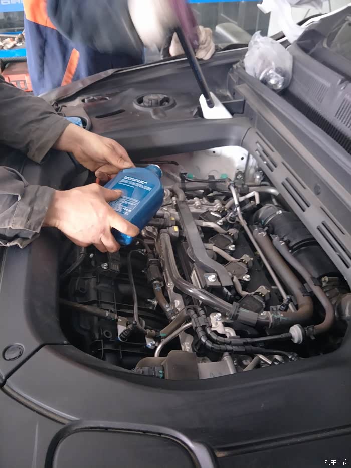 简单故事我的博越首保日记