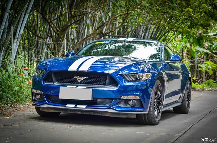 50v8野马提车经典蓝白条纹拉花