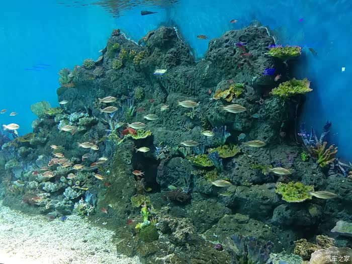 重庆市巴南区汉海海洋公园(第五章)