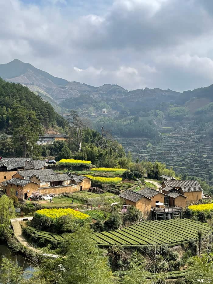 浙江丽水,归园田居,太美了