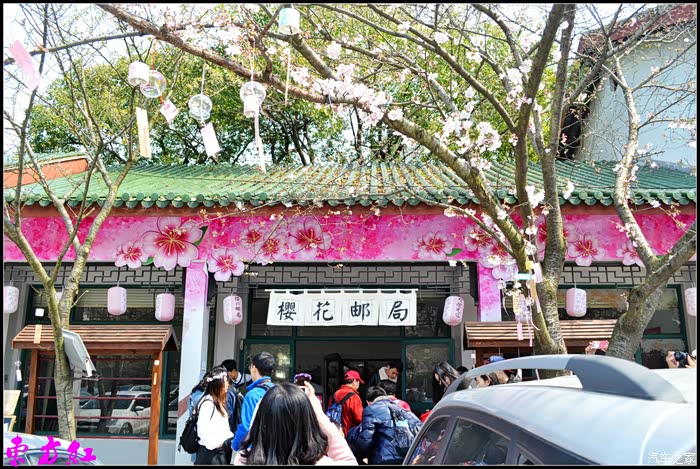 无锡cs75车友会自驾游鼋头渚赏樱