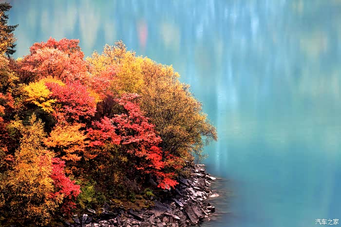 用铃木历十年光景.入小维启展新征程