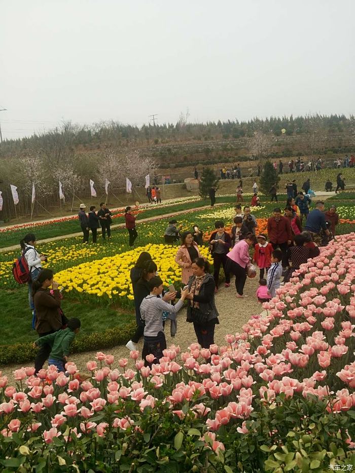 沂水花彩小镇花朝节图片