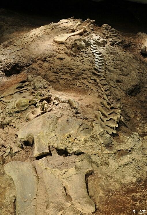 禄丰恐龙化石遗址图片
