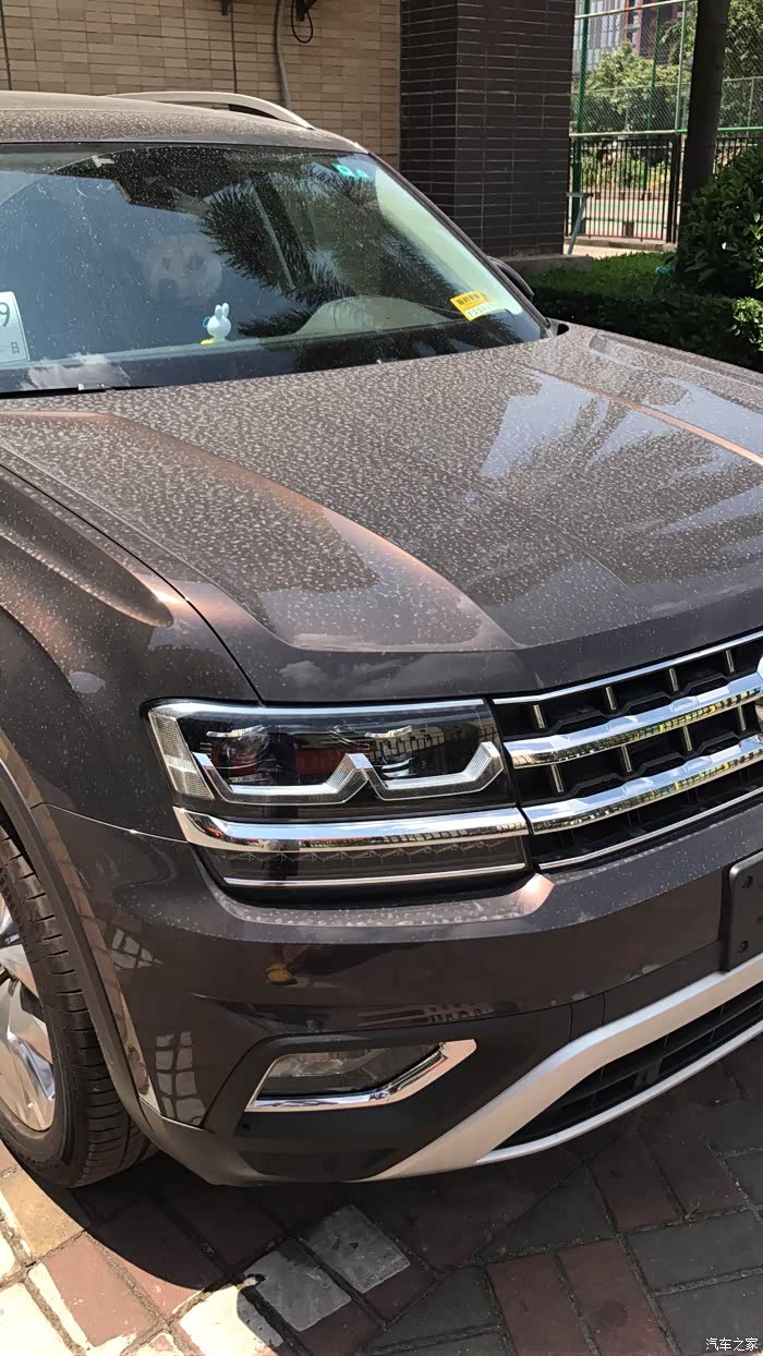 为颜值空间而生!『提车作业』霸气『大途昂380旗舰』天鹅绒棕