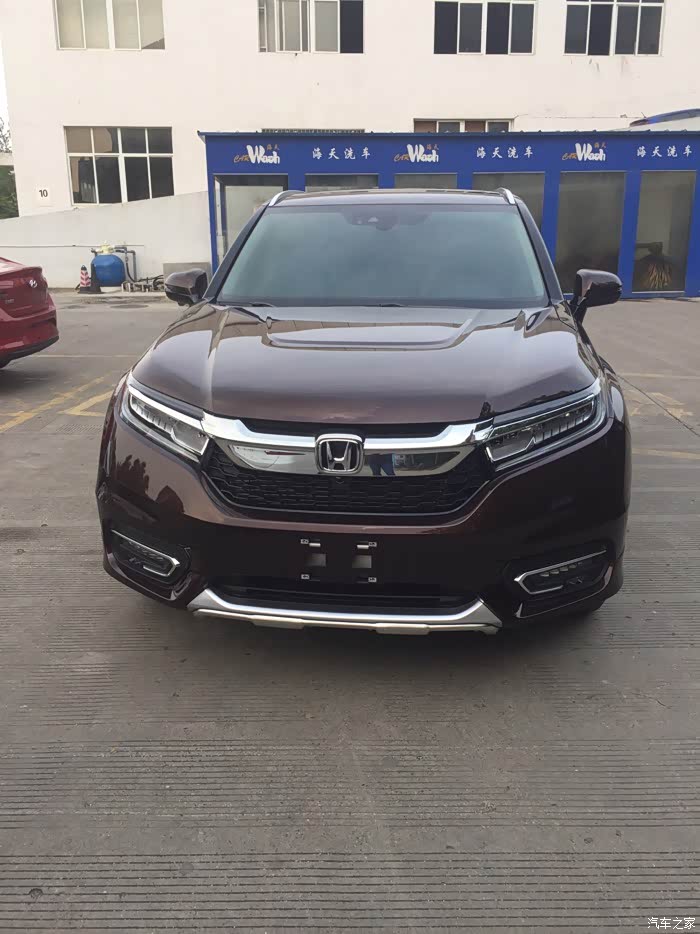 等待58天终提冠道至尊琥珀金