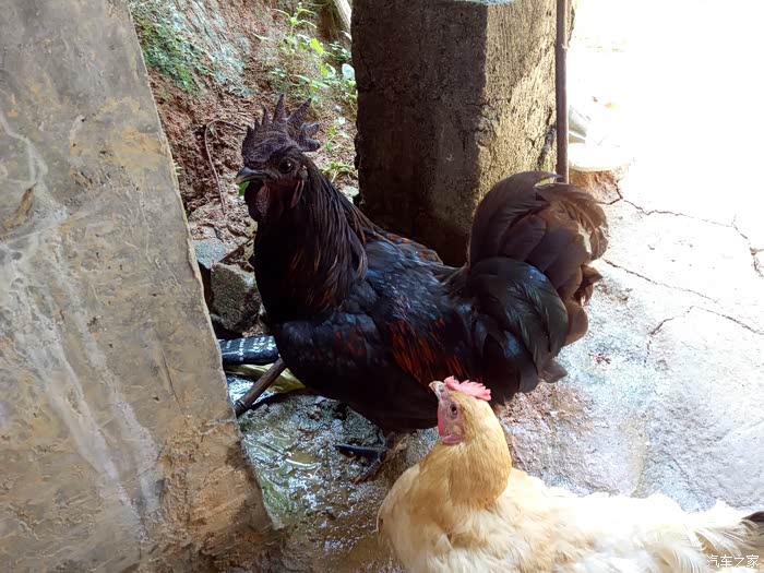 老湿鸡驾到之fx-s500-20000公里