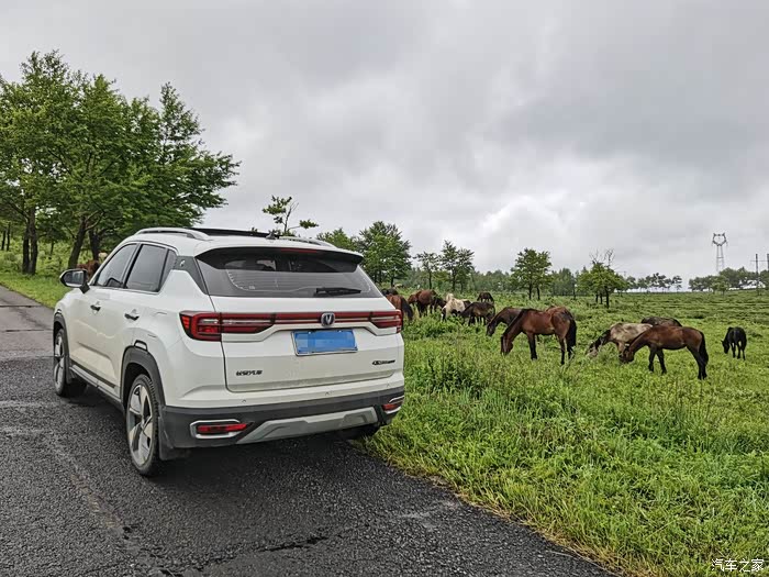 精彩的有车生活!35plus的魅力之行!