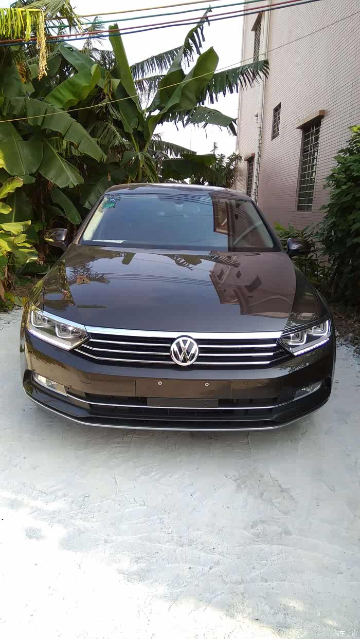 大神有木有摩卡棕迈腾图