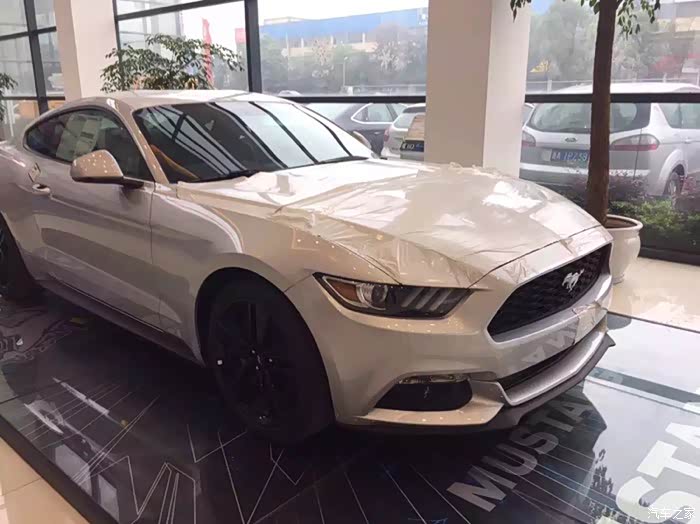 银色野马这个颜色真的很少