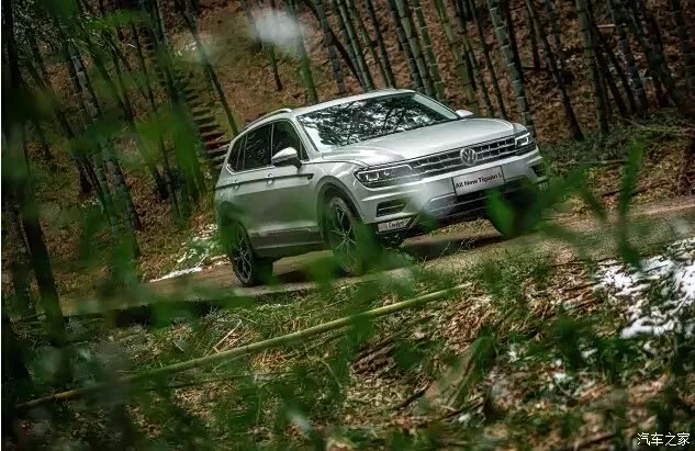 大块头途观l玩转山林寻得寒冬满眼绿