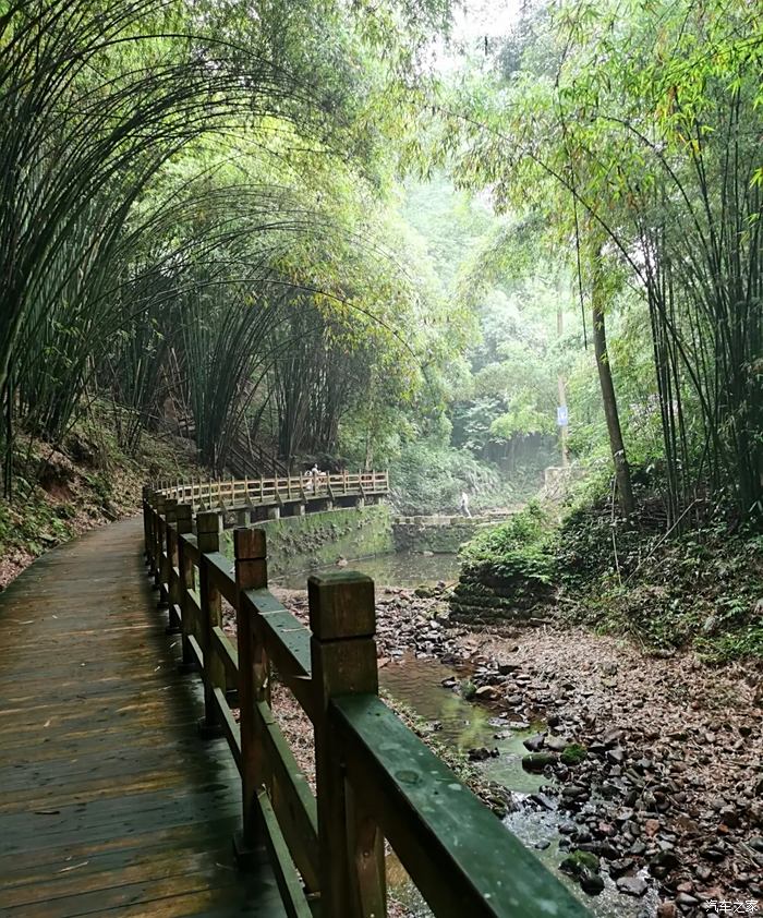 凤栖山景区图片