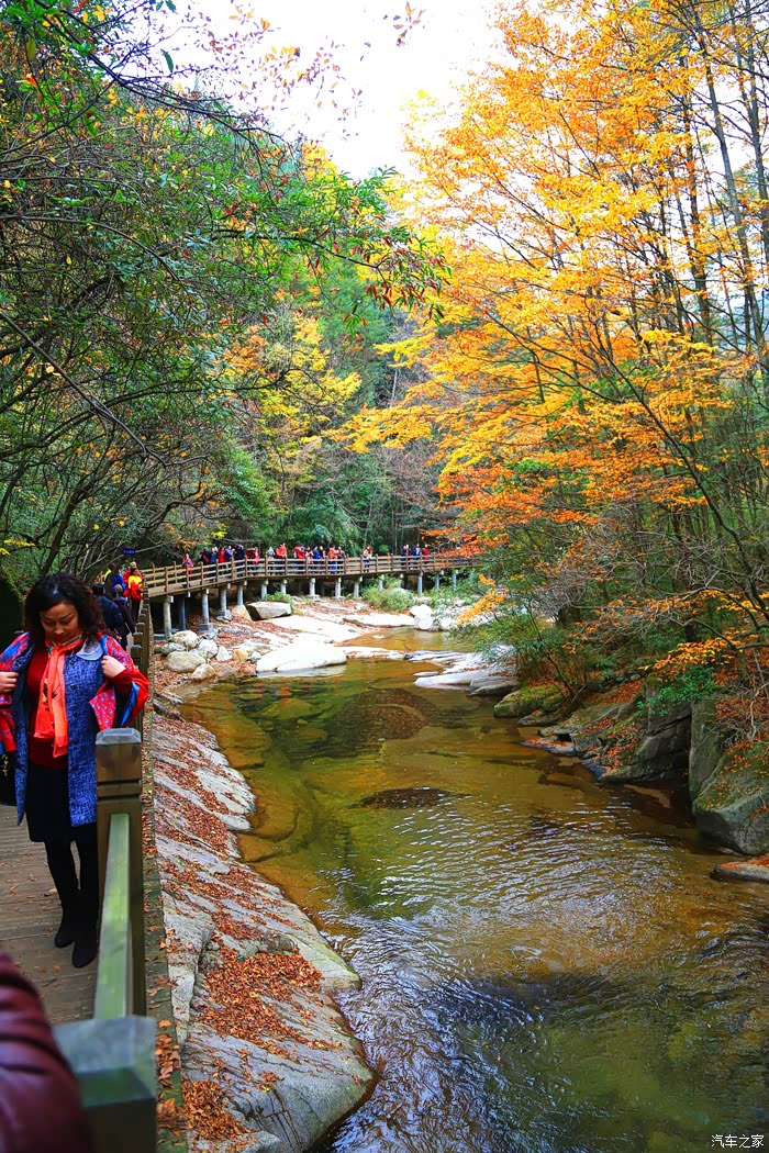 光雾秋韵,彩叶舞蹁跹——巴中南江光雾山游记