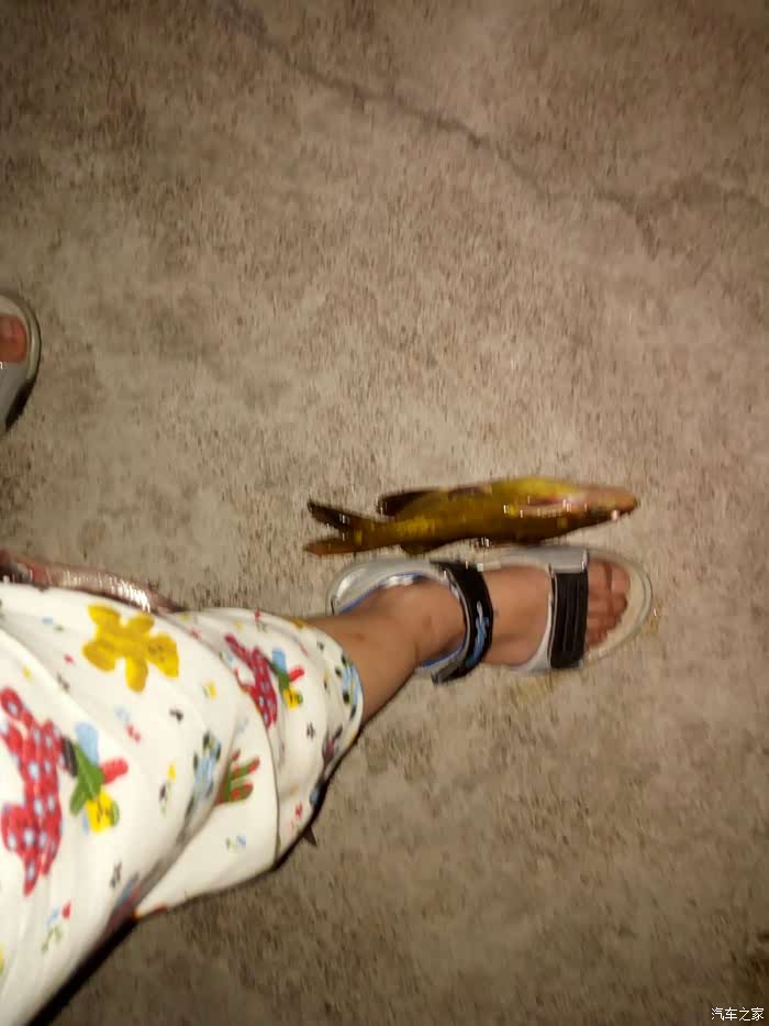 游钓黄湓闸续二