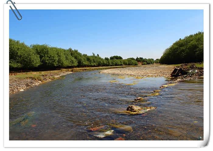 白杨河穿过托克逊县城,是一条生态河.
