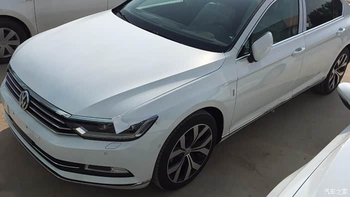 380尊贵极地白苦等3月已提